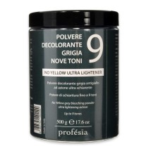 POLVERE DECOLORANTE GRIGIA NOVE TONI 500 g 5017