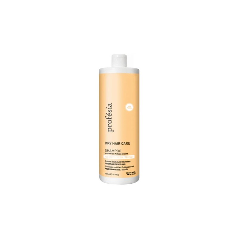 Shampoing Soin Cheveux Secs pour Cheveux Secs 1000 ml Shampoing Soin Cheveux Secs pour Cheveux Secs 1000 ml