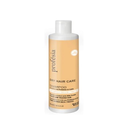 Shampoing Soin Cheveux Secs 300 ml