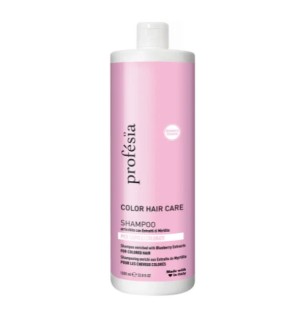Shampoing Color Care pour cheveux colorés 1000 ml